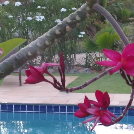 Vila Saguaro Trairi Exterior photo